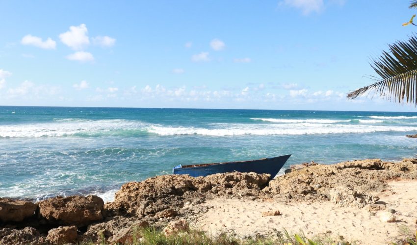 blue boat on seashore during daytime