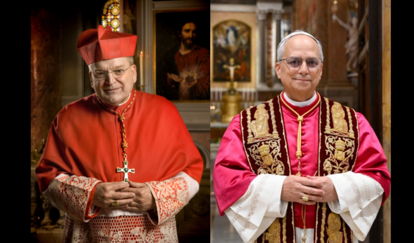 Cardinal Burke et le Pape Léon XIV