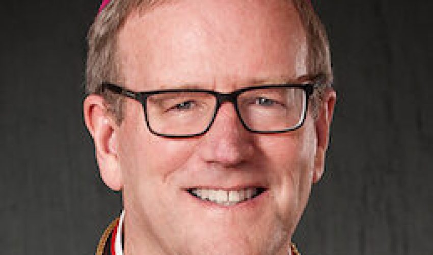 Bishop_Barron_-_Wikipedia