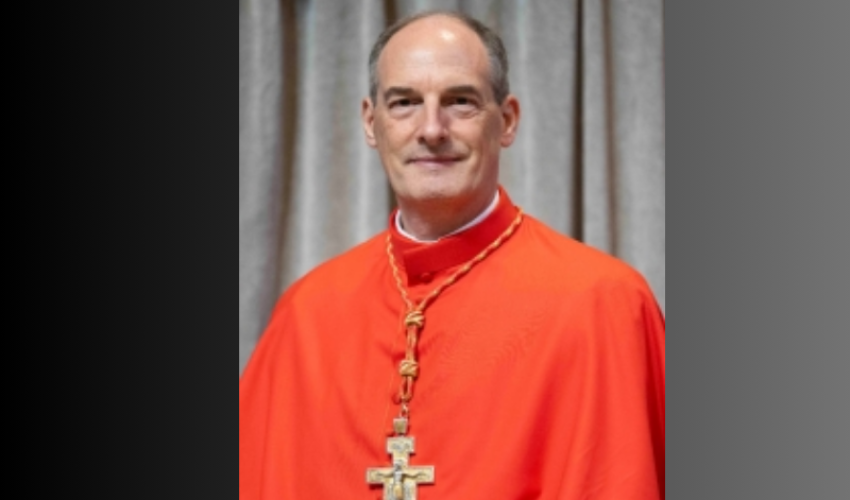 Cardinal Bustillo - DR