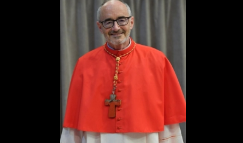 Cardinal Czerny  - DR