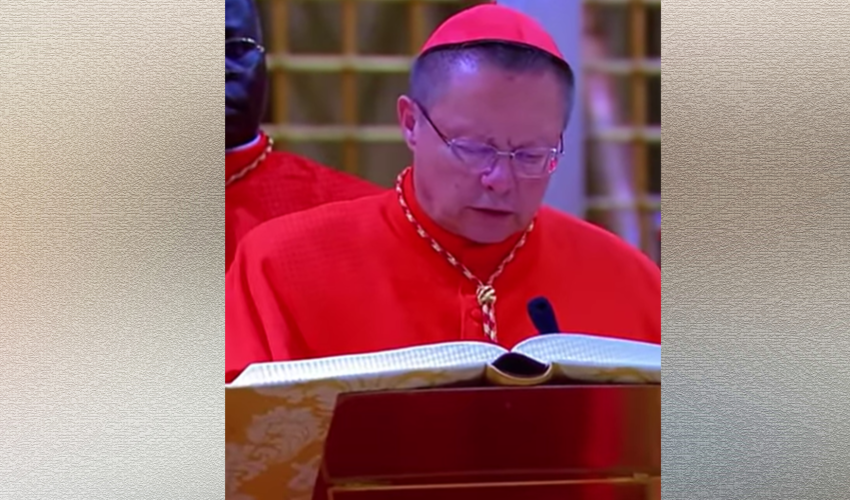 Cardinal Grzegorz Ryś  - capture écran