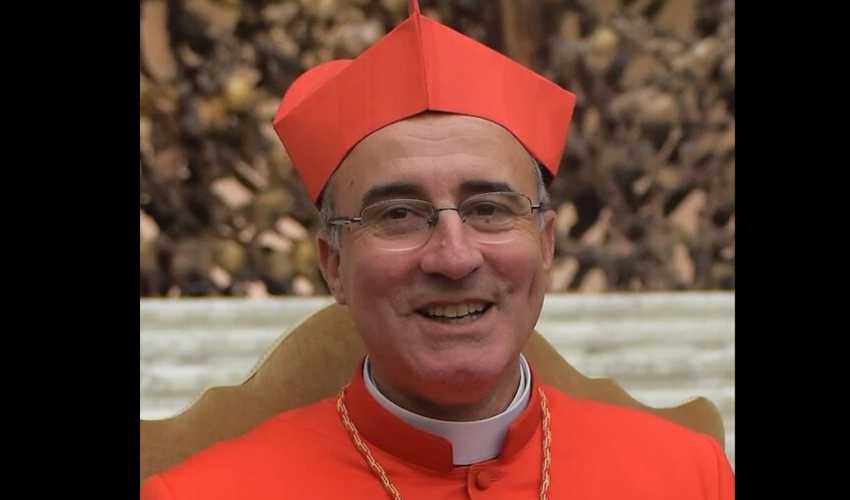 Cardinal Sturla - DR