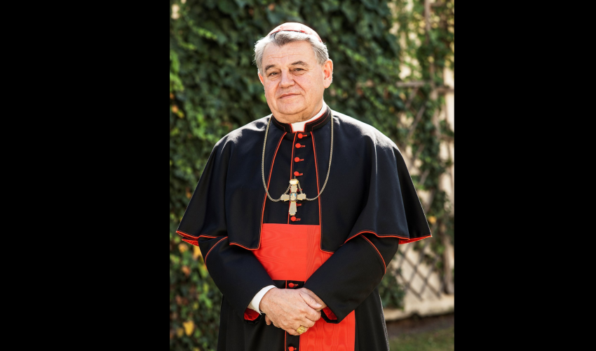 Cardinal Duka - DR