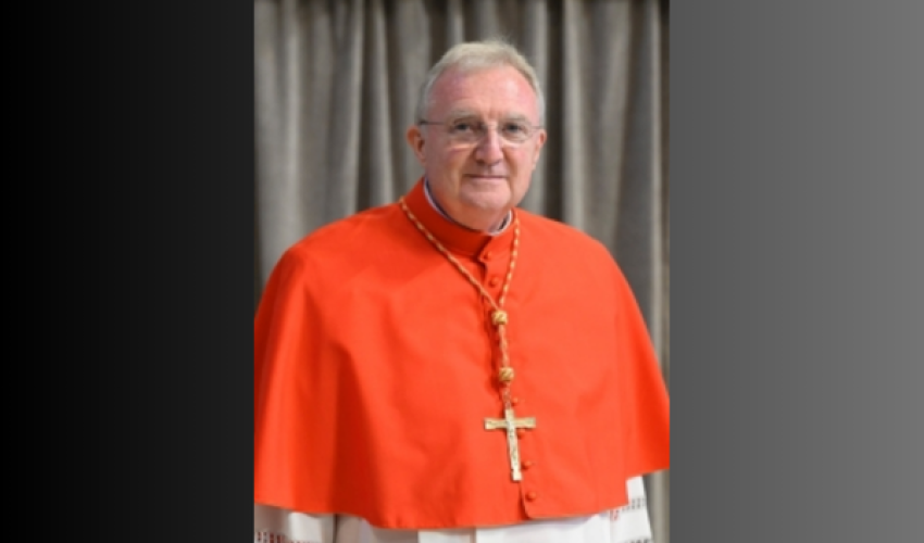 Cardinal Roche - DR