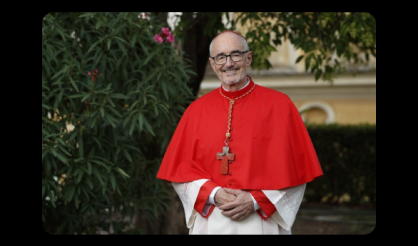 cardinal  Czerny - DR