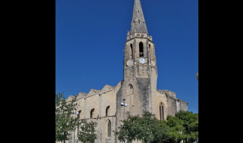 église de Montfavet - DR