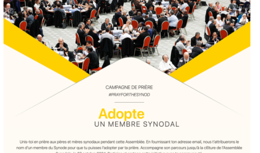 Visuel du synode - DR