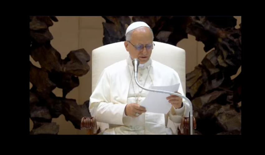 Le Pape Léon XIV lors de l'audience du mercredi 20 août   - capture écran