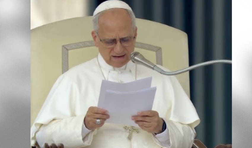 Le pape Léon XIV lors de son audience - DR