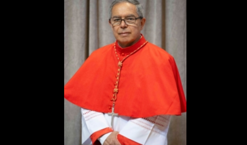 Cardinal Luis José Rueda Aparicio - DR