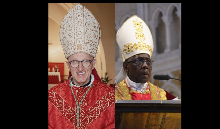 Monseigneur Rey et le cardinal Sarah - DR