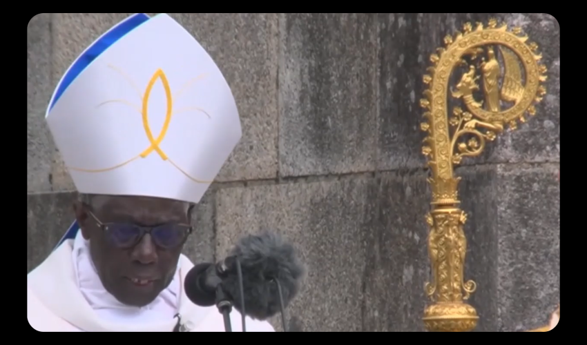 Le cardinal Sarah lors de son homélie - capture écran