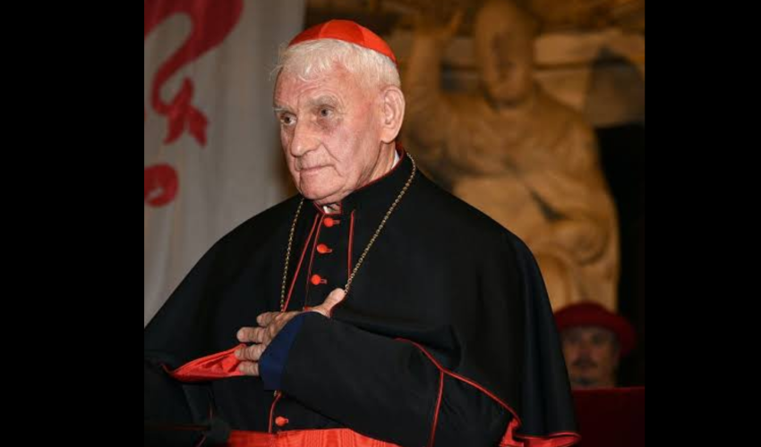 Cardinal Simoni - DR