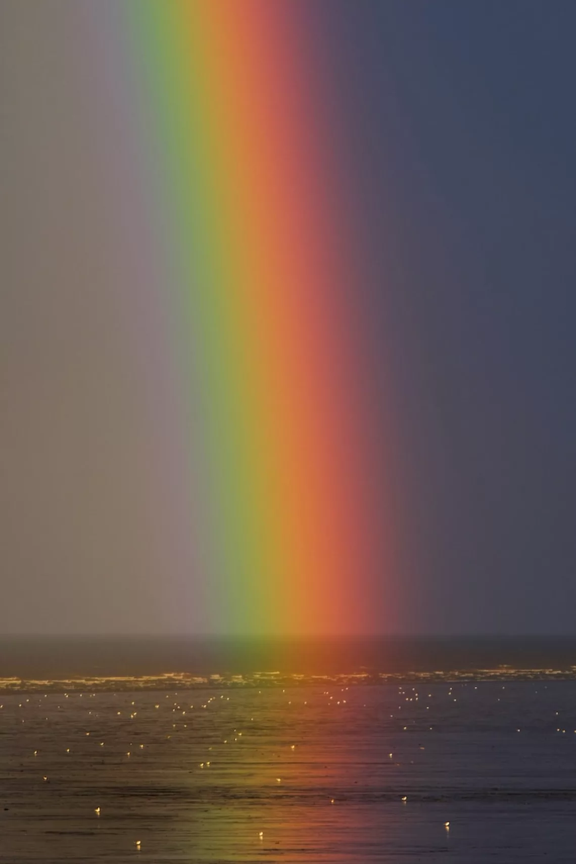 rainbow on body of water