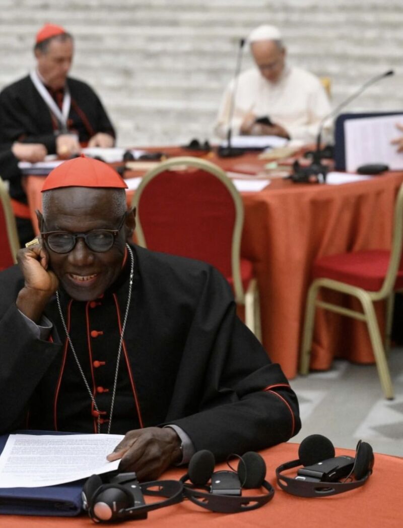 Image for the Tweet beginning: Consistoire extraordinaire, janvier 2026. 